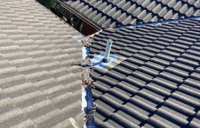 glenhaven-roofing-img